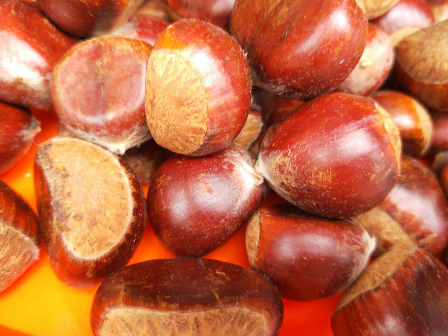 生栗子特写