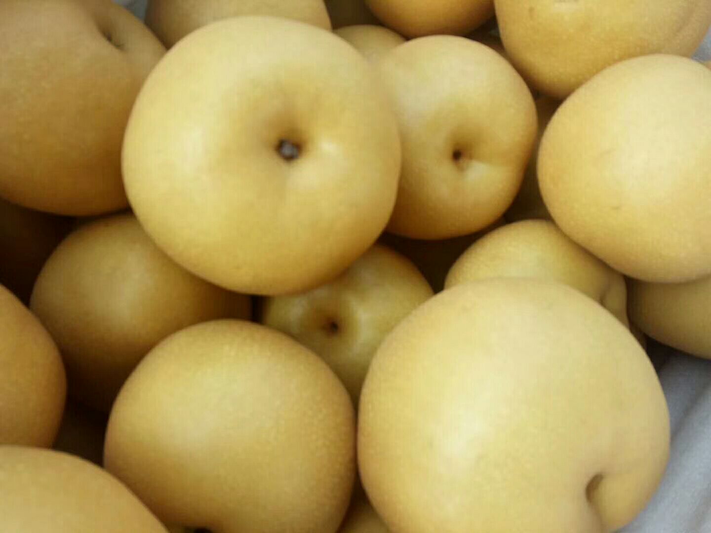 黄金梨选购外观图