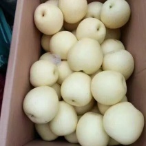 皇冠梨一级果框装质量好价格低