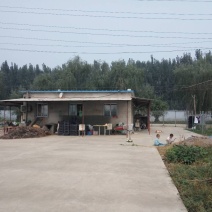 免转让费出租北京通州漷县镇50亩葡萄园