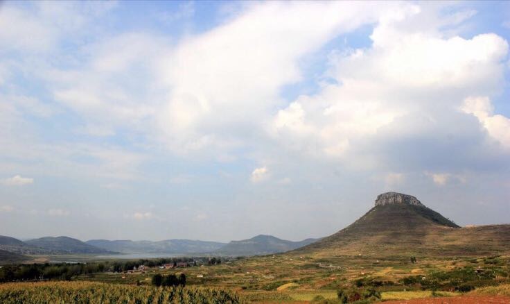 秋日乡村枣树下人们弯腰拾枣的温馨场景