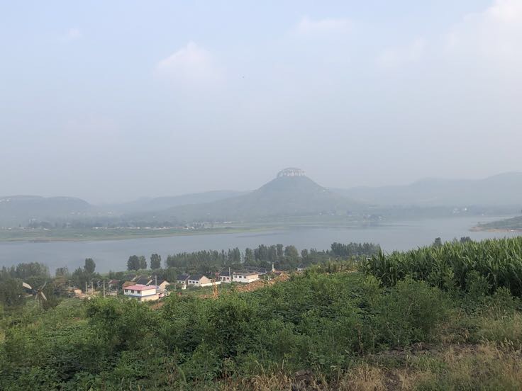 山东农科院烟薯25号三大核心产区地理分布图