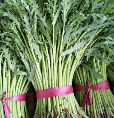 [蒿子杆批发]茼蒿,蒿子杆儿,精品应有尽有,保质保量,价格1.