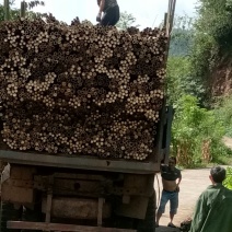 供应各种规格竹子