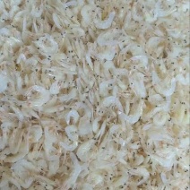 虾皮一级