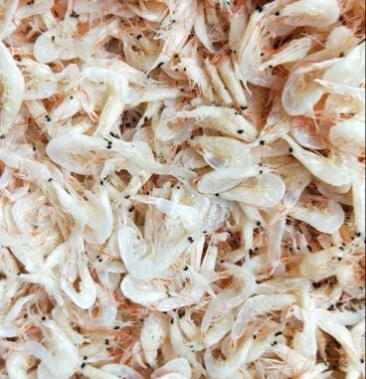 虾皮渤海湾毛虾皮自加工品质保障大量