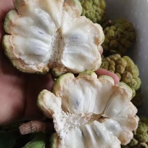 释迦一级150~200g