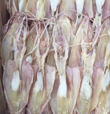 鱿鱼母正宗东山鱿鱼母量大