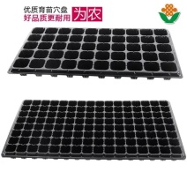 营养钵厂家直销育苗盘穴盘营养钵塑料蔬菜苗加厚