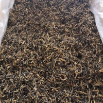 古树茶