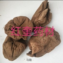 马勃药用马勃牛屎菇马蹄包药包子马屁泡