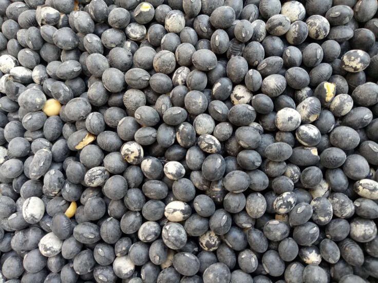 黑豆营养成分表