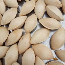 杏仁果