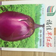 茄子种子福佳早红茄圆茄