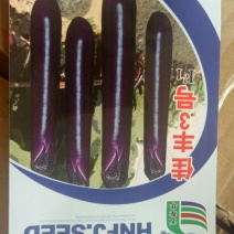 佳丰三号长茄茄子种子