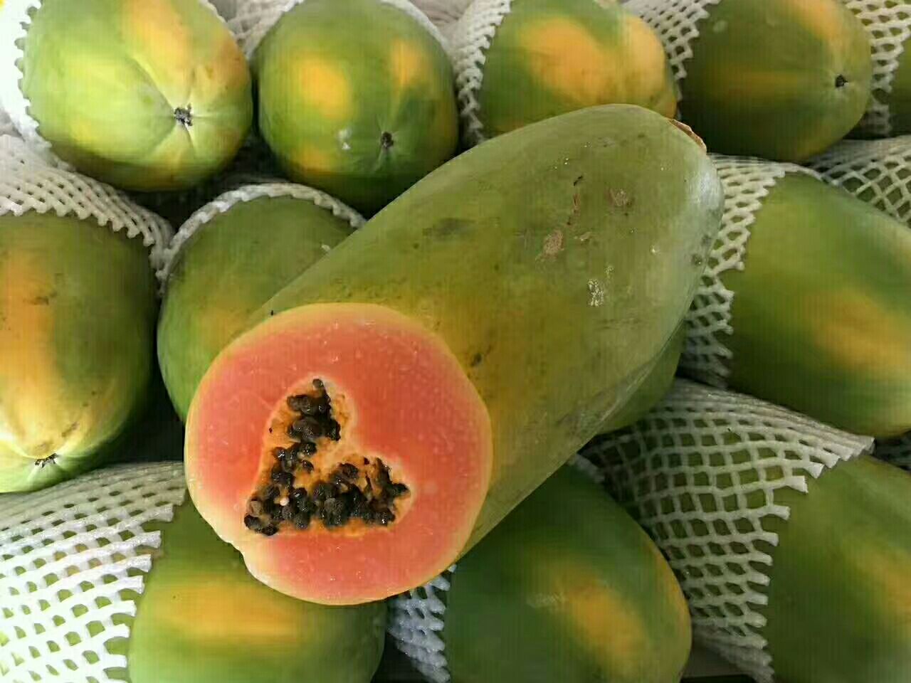 番木瓜剖面特写