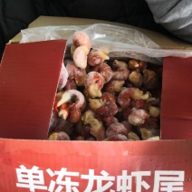 小红龙虾尾
