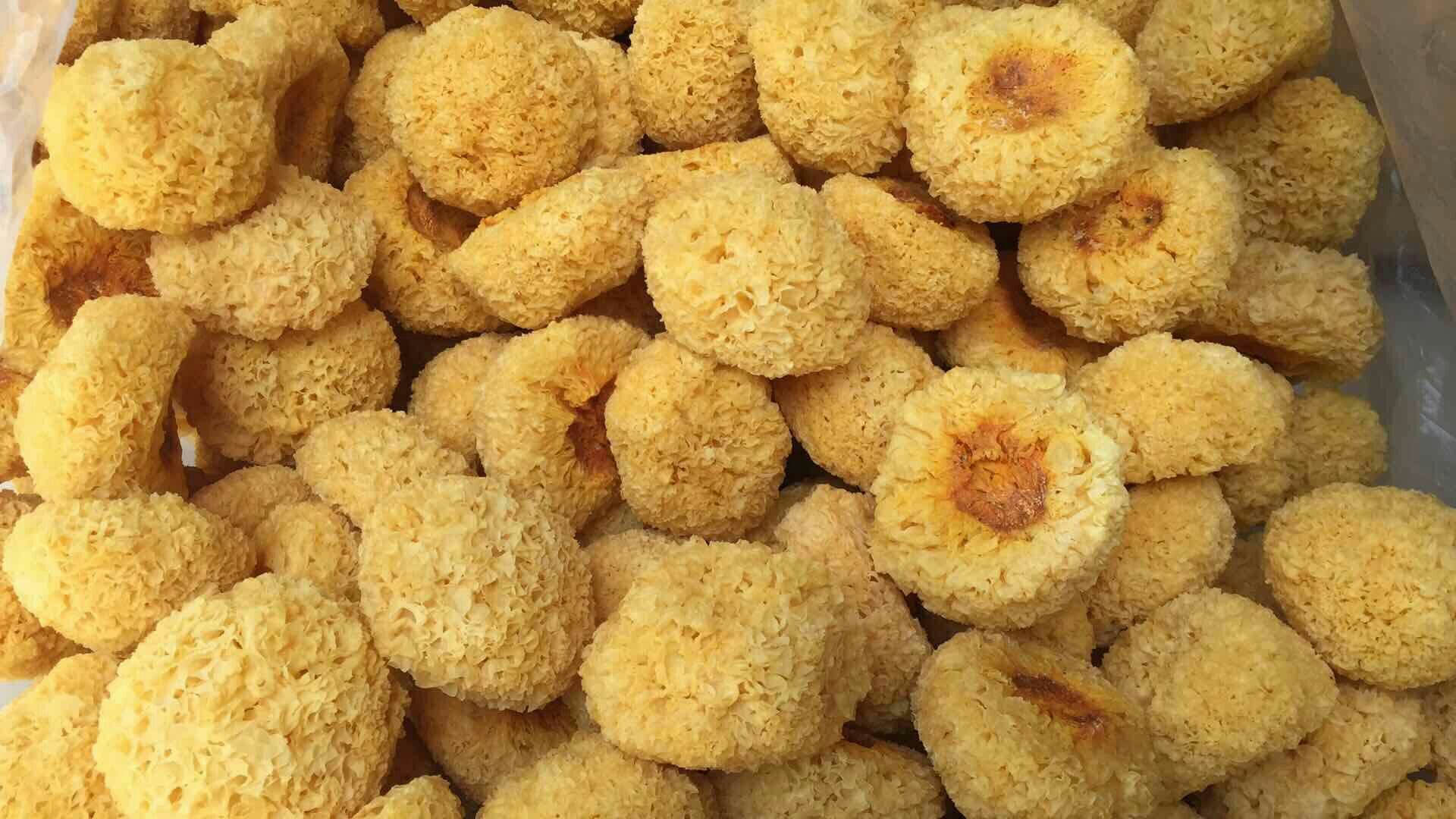 干制丑耳特写
