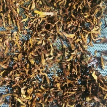 大量供应纯野生松蘑，肉蘑，质量好，色泽纯正，口感鲜嫩