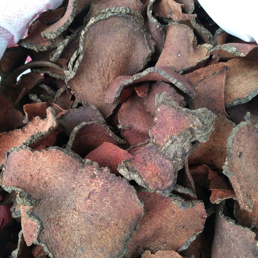 朱砂莲统货切片自家采挖晒干