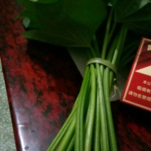 红薯叶梗