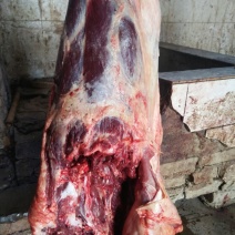 新疆屠宰厂纯驴肉，货源充足。