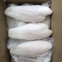巴沙鱼