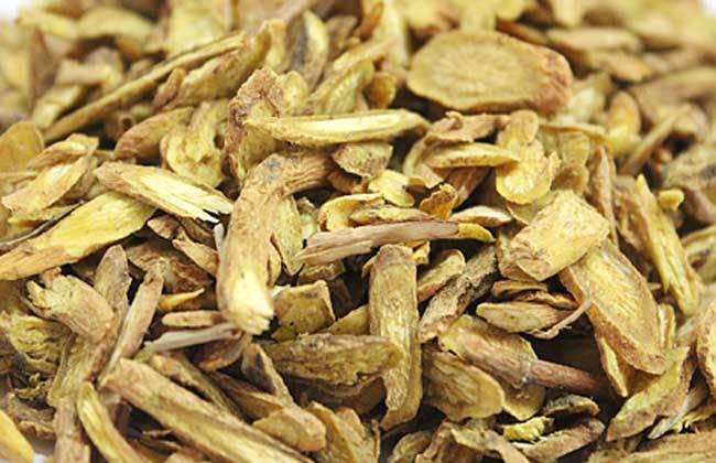 自动化流水线上,工人正在操作设备对条芩进行横向切片,传送带上的黄芩片色泽金黄、厚薄均匀;背景为洁净车间,悬挂GMP认证标志,体现现代化中药加工水平 现代中药饮片厂中的条芩切片生产线