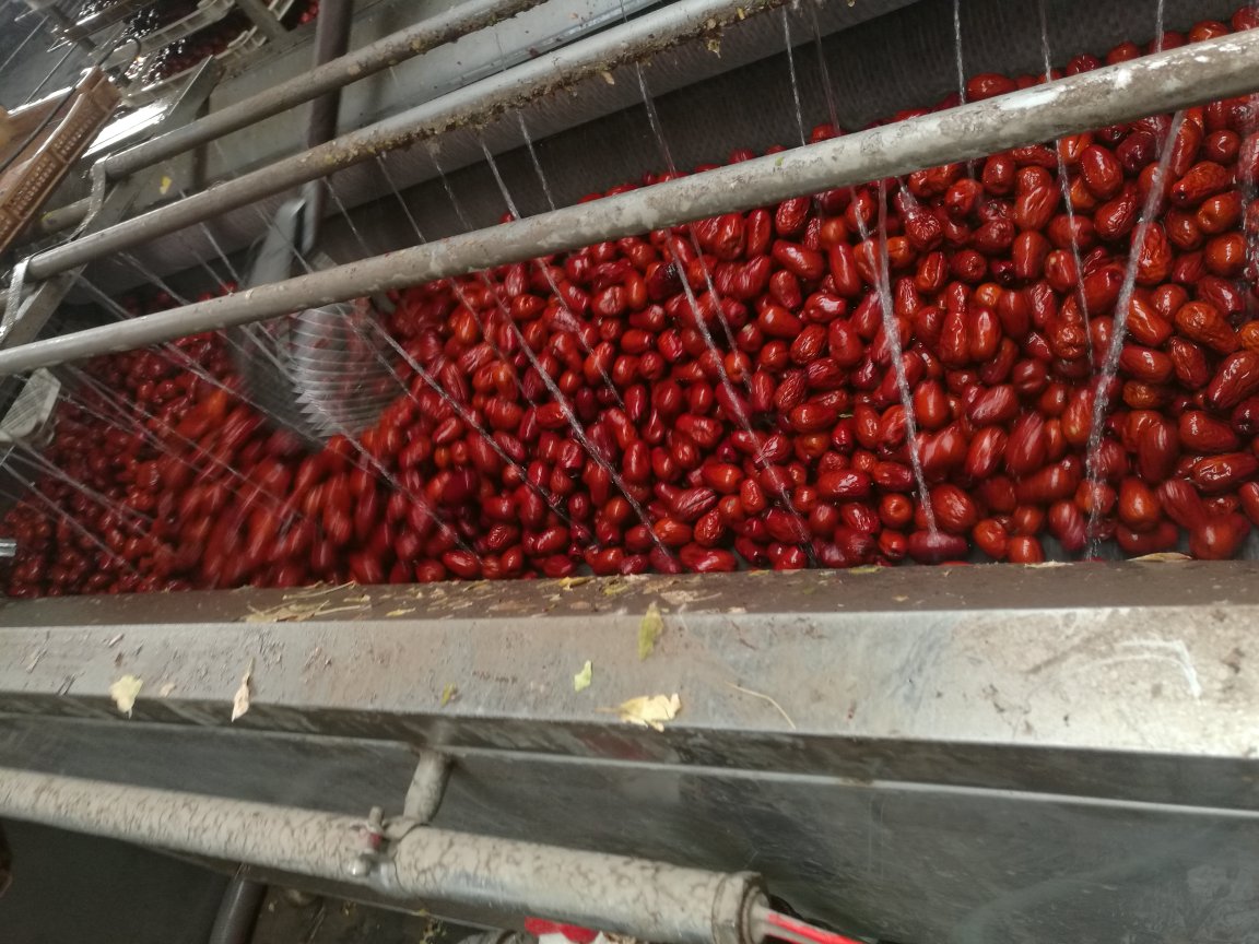 田枣加工与包装场景