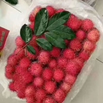 红毛丹，一件代发