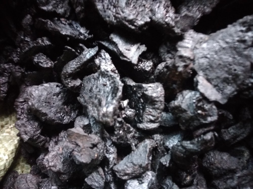 地黄与黑豆的组合