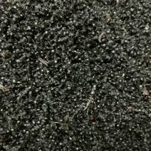 大黑蚂蚁蚂蚁干蚂蚁野生拟黑多刺蚁黑蚂蚁散装养生泡酒料