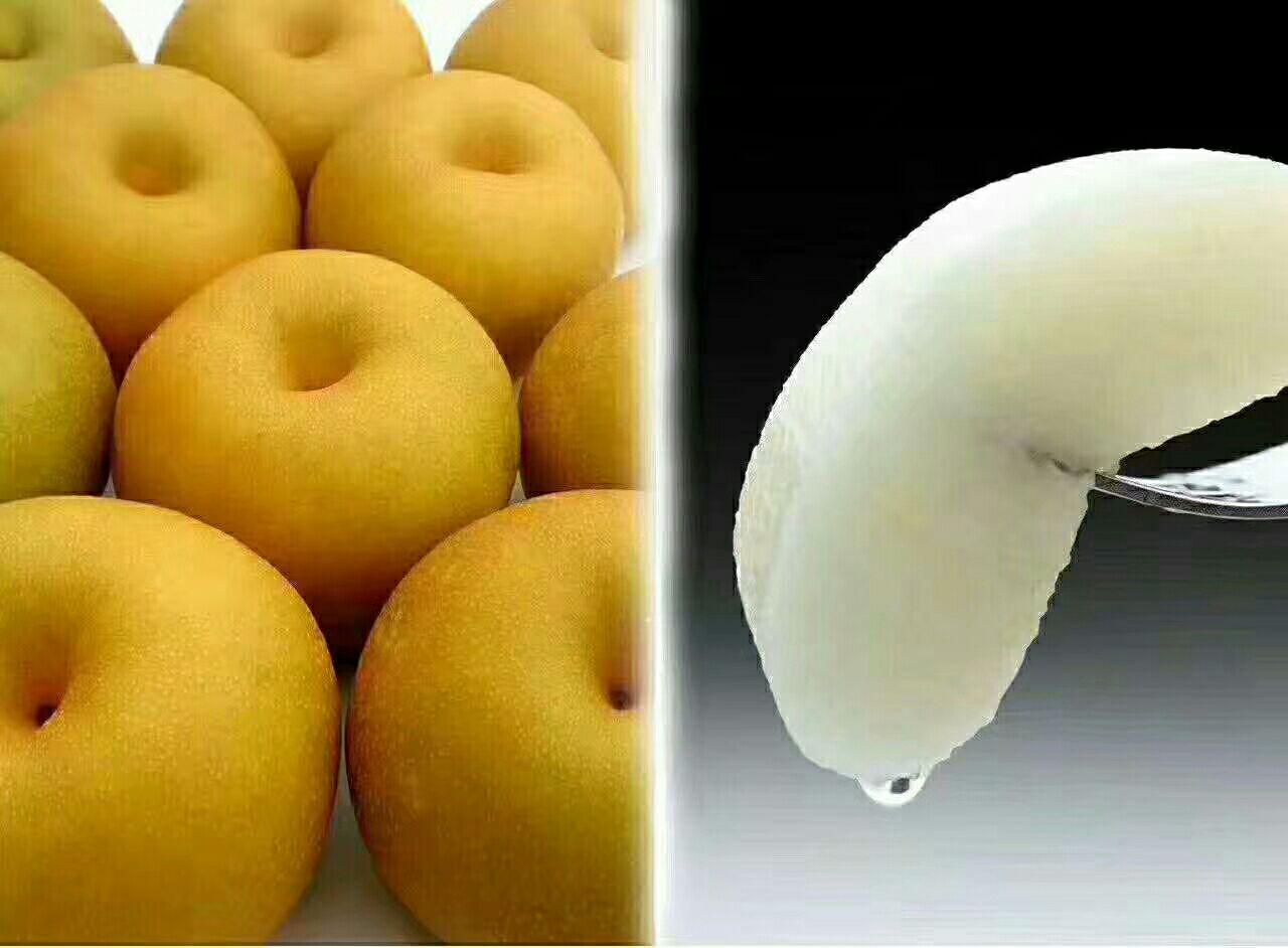 图中展示酸梨、鸭梨、秋月梨和雪花梨的外观与果肉对比 酸梨与其他梨品种对比图