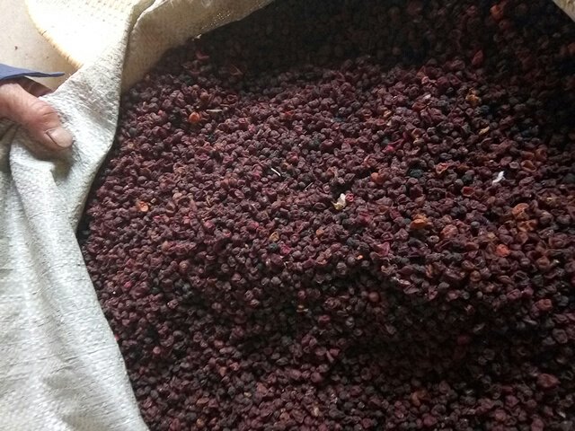 五味子药效功能对比图表