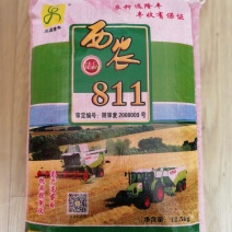 西农811旱地小麦产量高西北农林科技大学研制