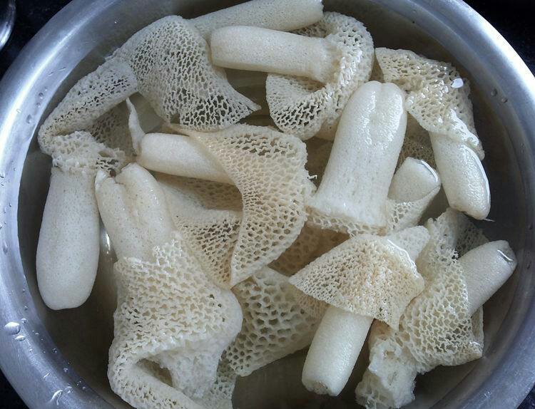 泡发完成的竹荪状态展示