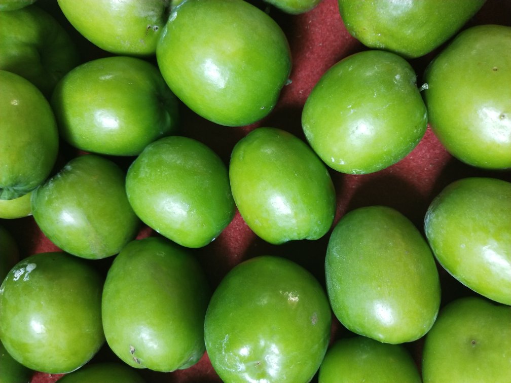 新鲜青枣特写图