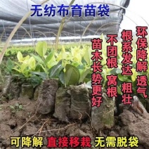 育苗袋无纺布轻基质容器杯营养袋种植袋营养杯