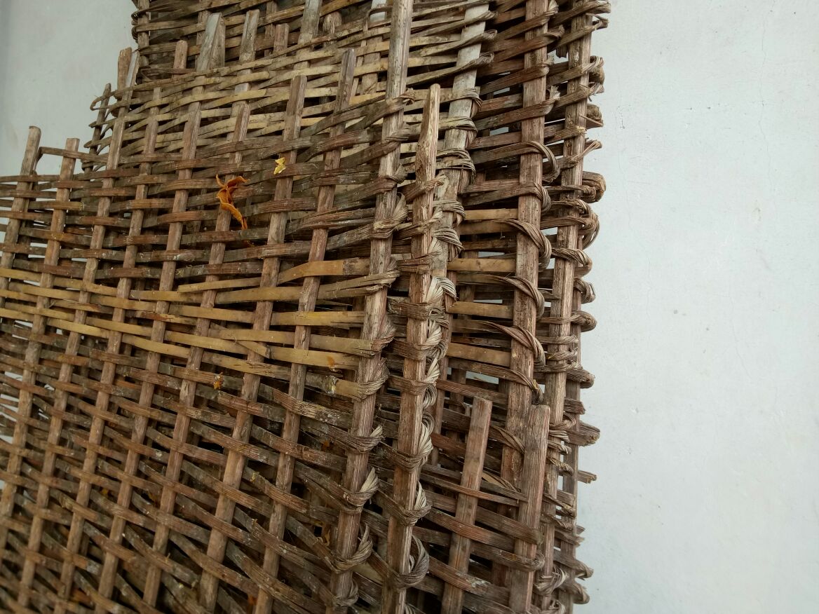 酸竹笋成品特写