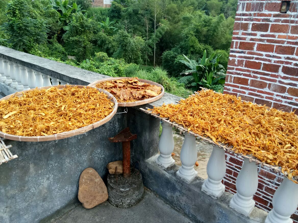 新鲜竹笋与竹笋干对比图