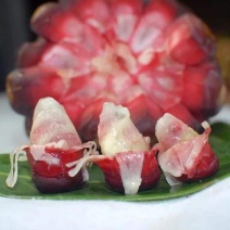 黑老虎