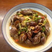 白玉蜗牛