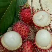 红毛丹，批发零售，一件30斤净果