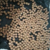 精品文玩核桃