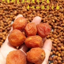 吊干杏。杏干