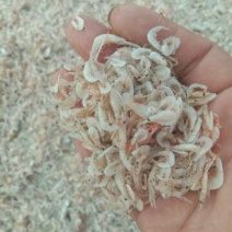 虾皮