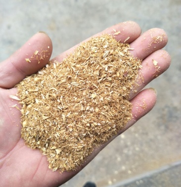 麦芽根适用于各种饲料添加