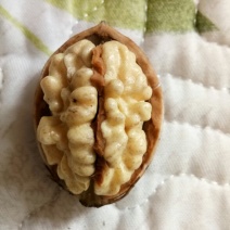 新鲜薄皮老树核桃，5公斤起卖包邮