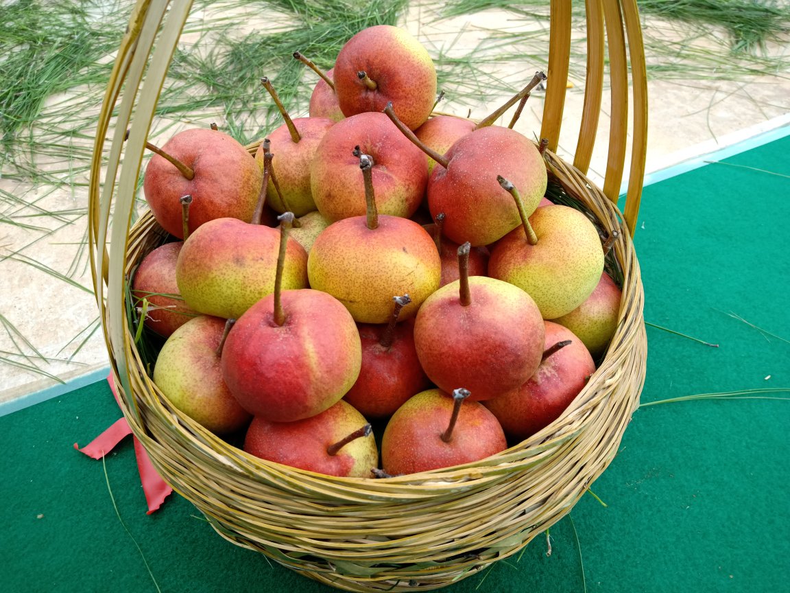 一个装满新鲜香梨的果篮,背景为温馨的厨房环境,适合用于展示香梨的日常存储方式 香梨果篮