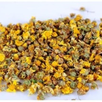 专业供应农村纯正干货野菊花